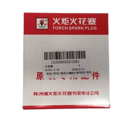 JAC J3 J5 J6 S3 VVT Engine Spark Plug 10 Sets Car Parts with OE Number 1026080GG010