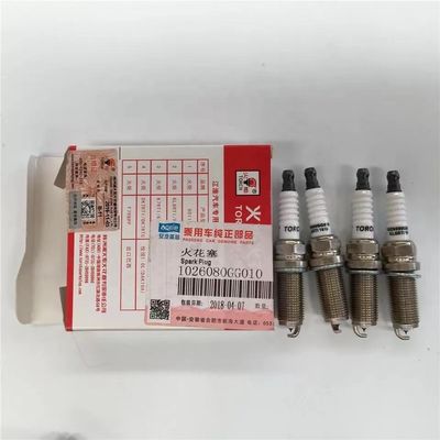 JAC J3 J5 J6 S3 VVT Engine Spark Plug 10 Sets Car Parts with OE Number 1026080GG010