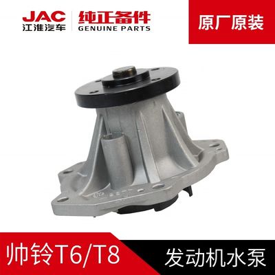 Picture and Luxury Style JAC T6 Original Water Pump 1027110GD190