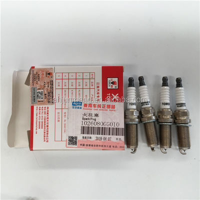 Auto Parts for J2 J3 J5 J6 S3 Spark Plug OEM Number 1026080GG010