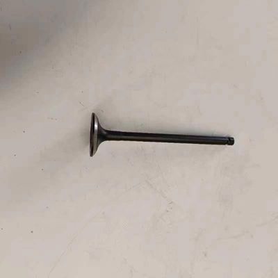 OE 1003201GA Car Lights Number for JAC S5 Exhaust Valve 1st Generation REFINE S5 SUV