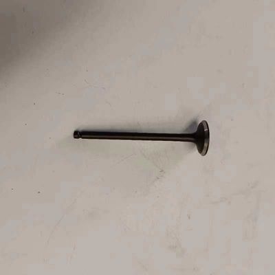OE 1003201GA Car Lights Number for JAC S5 Exhaust Valve 1st Generation REFINE S5 SUV