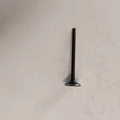 OE 1003201GA Car Lights Number for JAC S5 Exhaust Valve 1st Generation REFINE S5 SUV