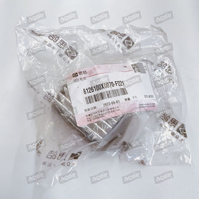 OE NO. 8126100x0070-f221 iEV7S SUV 17.10- Speed Control Module for JAC Energy Vehicle